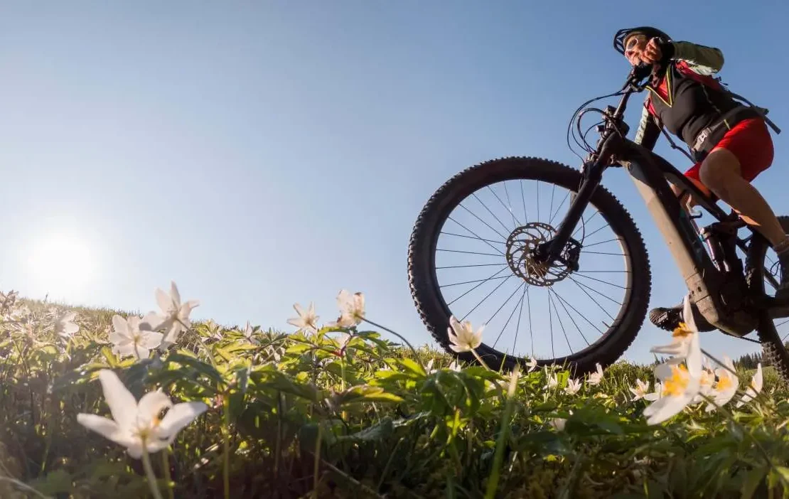 bicicleta elétrica vs. uma bicicleta normal
