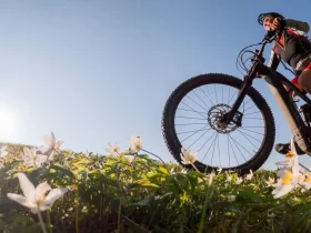 bicicleta elétrica vs. uma bicicleta normal