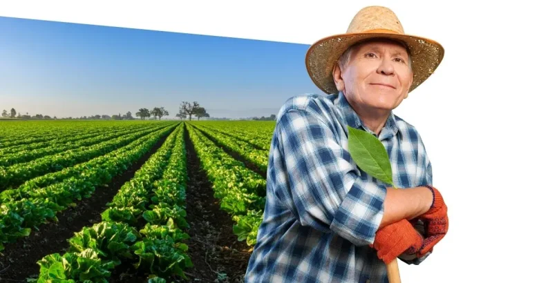 Qual o melhor horário para aplicar o Roundup